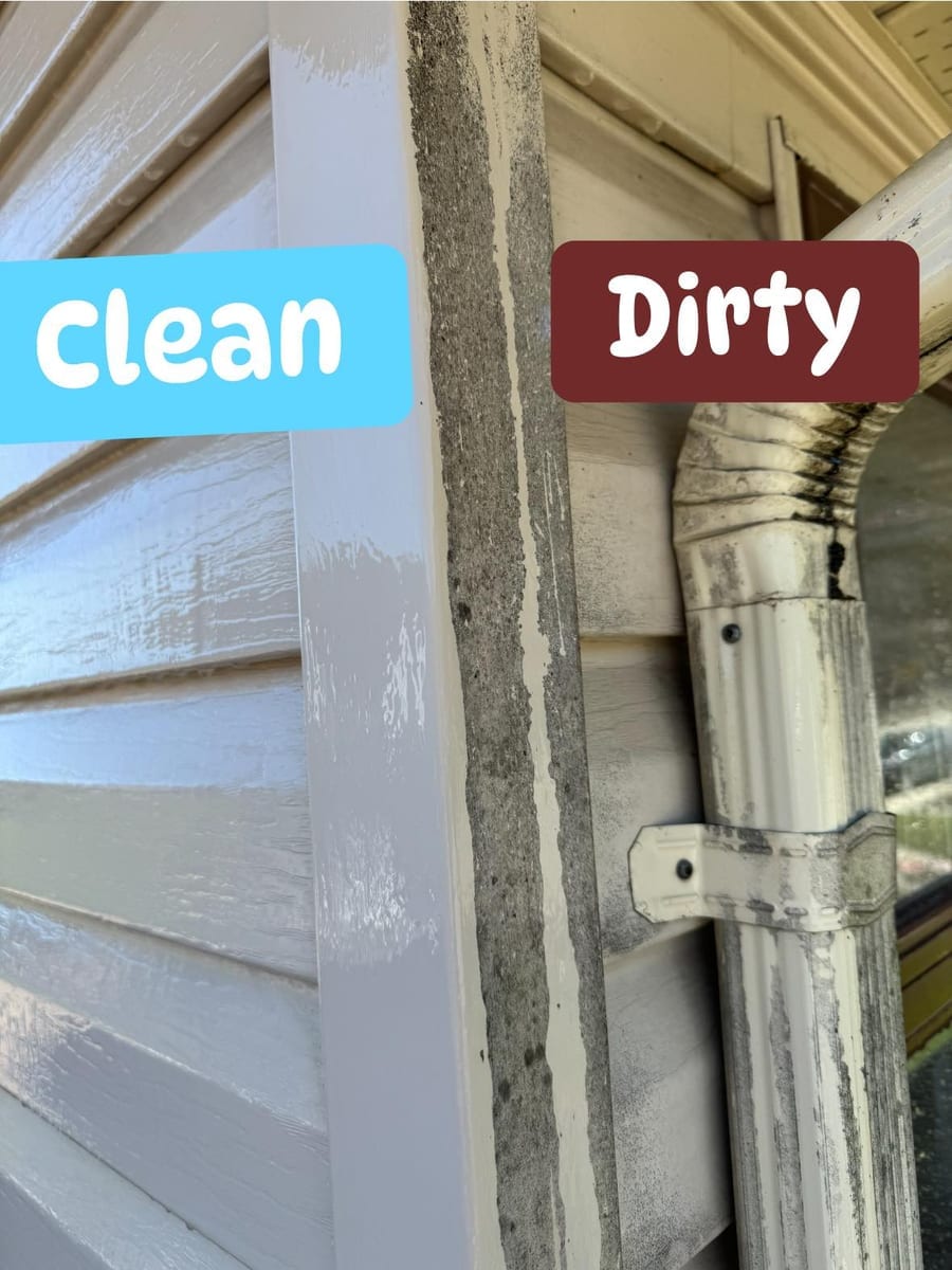Clean vs dirty siding comparison showing soft washing results