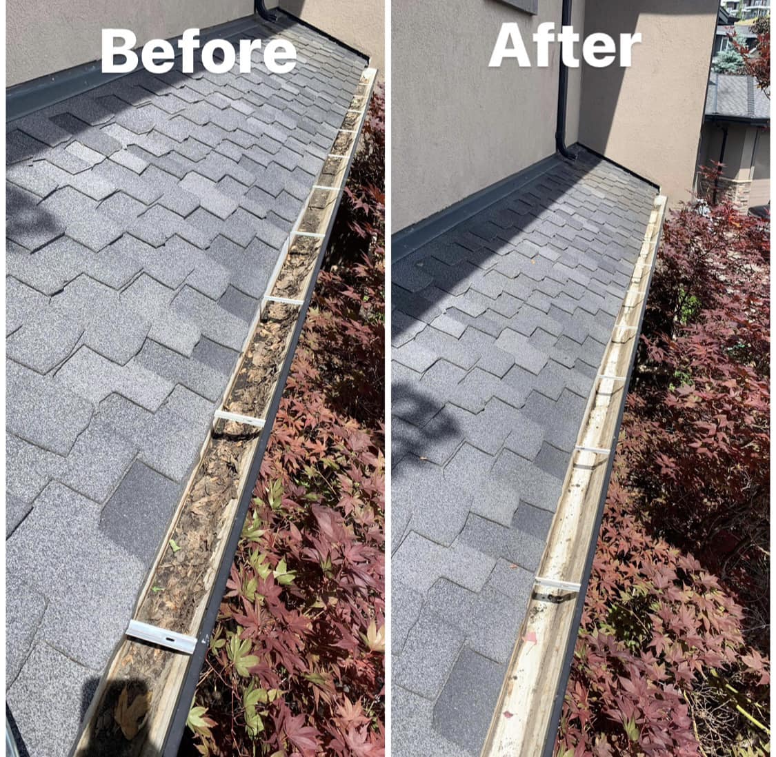 Before and after gutter cleaning in Vernon BC